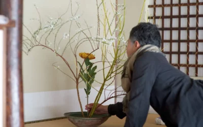 atelier-ikebana-attentionnel