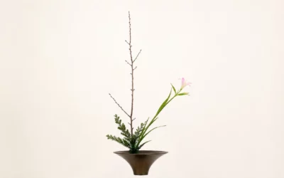 Philosophie de l'Ikebana - Kadō, Wabi-Sabi, Ma & Ten-Jin-Chi